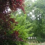 ホテル Le Parc De Paris Villevaudé